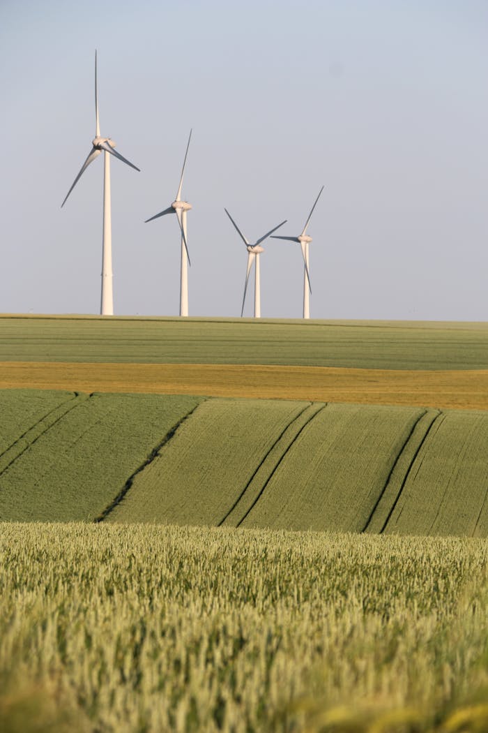 Home Wind turbines in the countryside generate eco-friendly energy amid vast fields.