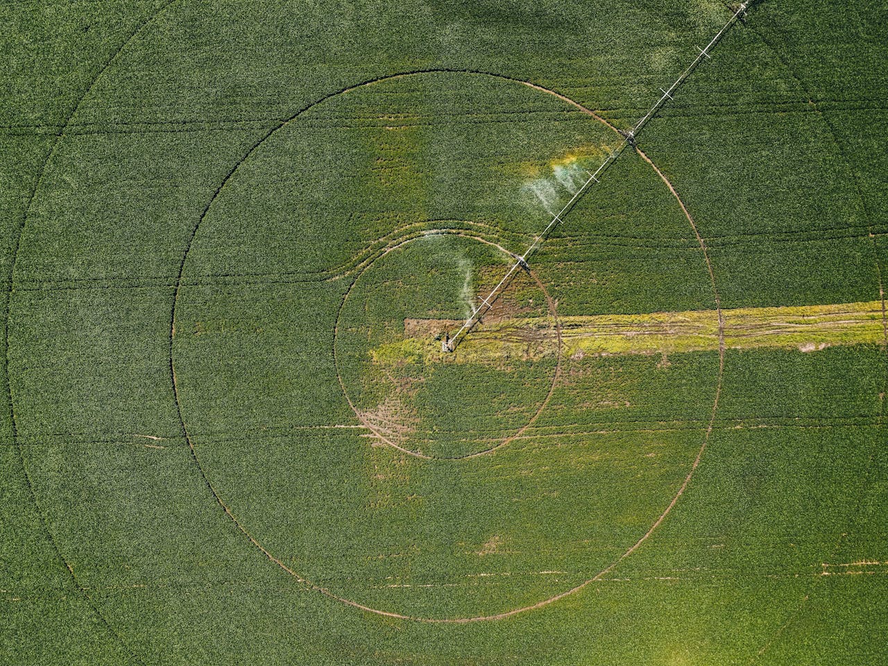 Home Aerial photograph showcasing a circular irrigation system in a sprawling green agricultural field.